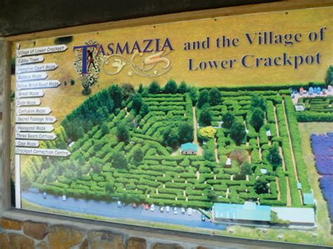 maze tassie.